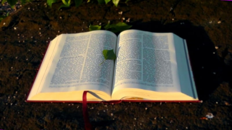 ¿Cómo Puedo Entender La Biblia? 5 Breves Consejos.